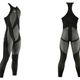 Illustration for article titled Speedo Now Selling LZR Racer Swim Suit to the Public, U.S. Whale Sightings Way Up